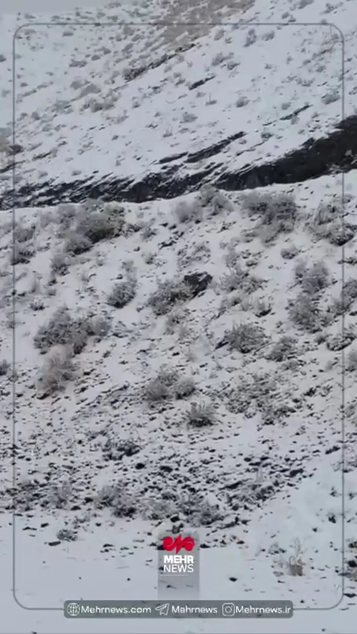 فیلم سفید پوش شدن جاده چالوس با بارش برف