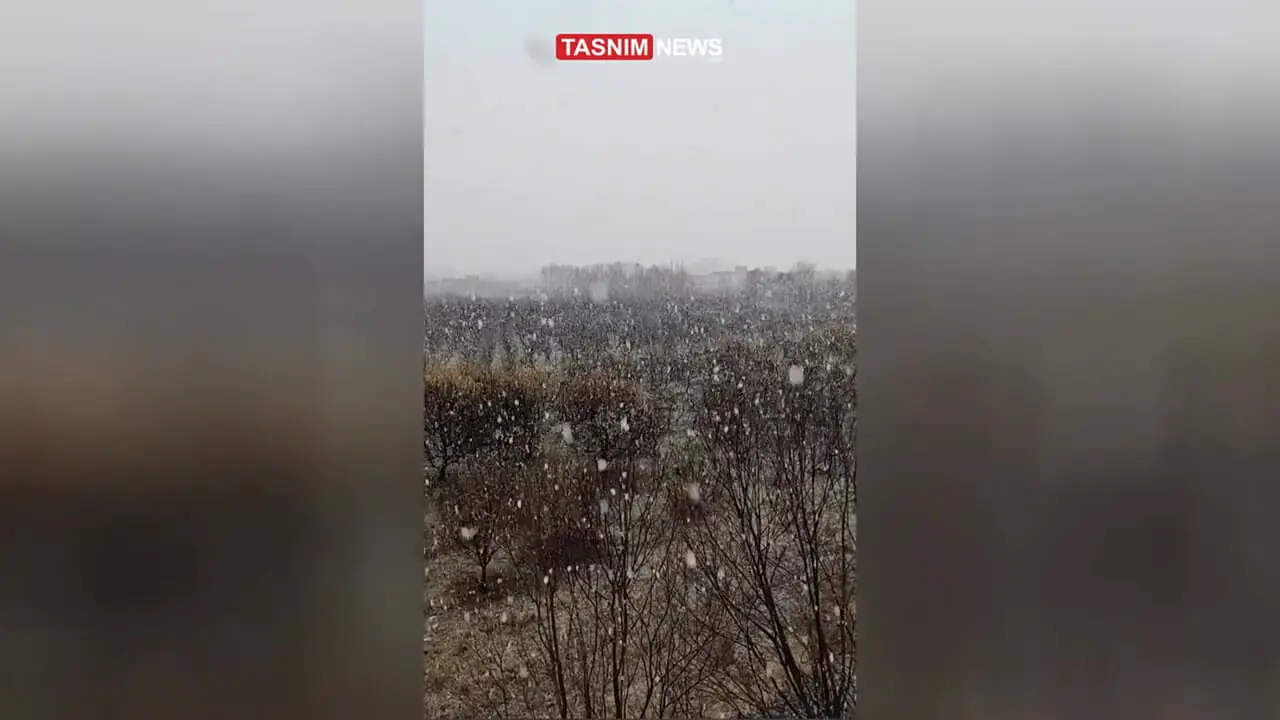 فیلم آغاز بارش برف در اشنویه