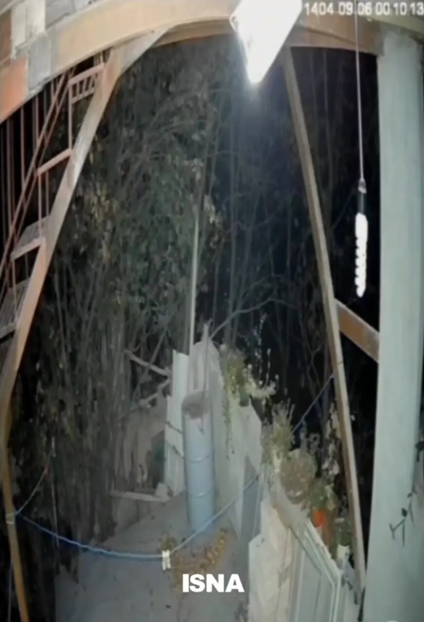 فیلم ورود خرس به منزل مسکونی در خطیرکوه سمنان