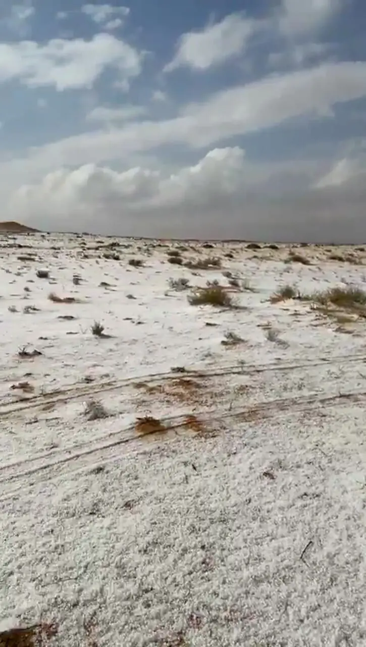 فیلم جلوه زمستانی در شمال عربستان