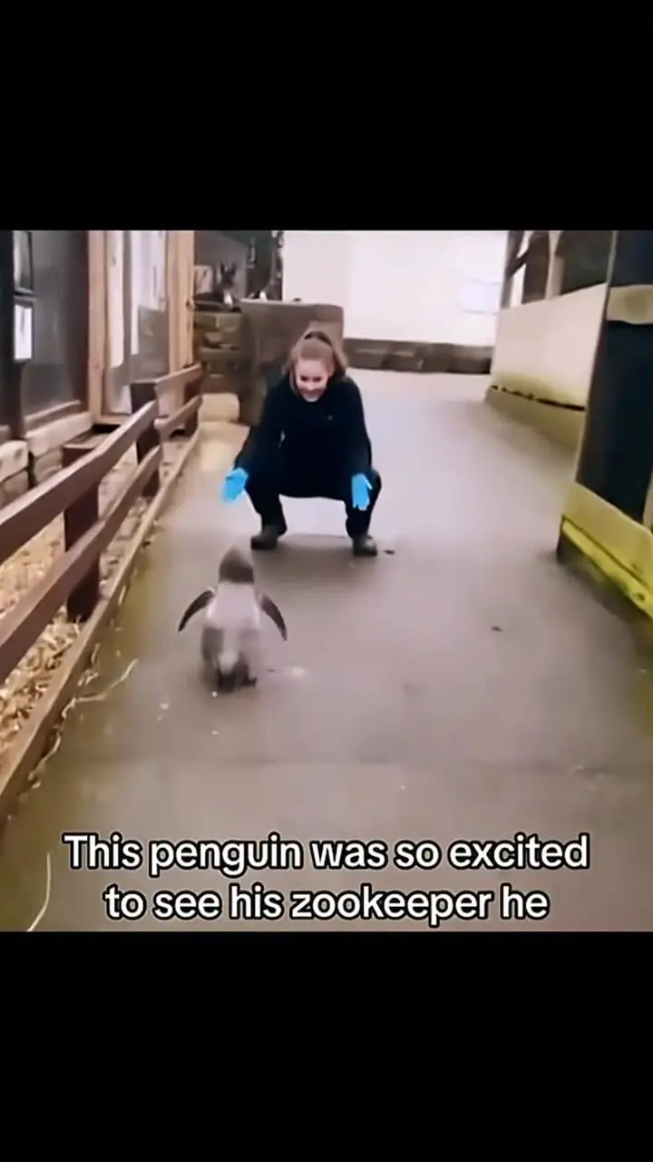 پیوند عشق و دوستی حیوانات با انسان + فیلم 