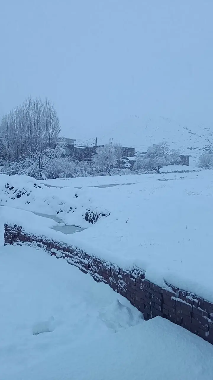 فیلم بارش شدید برف در منگورشرقی مهاباد