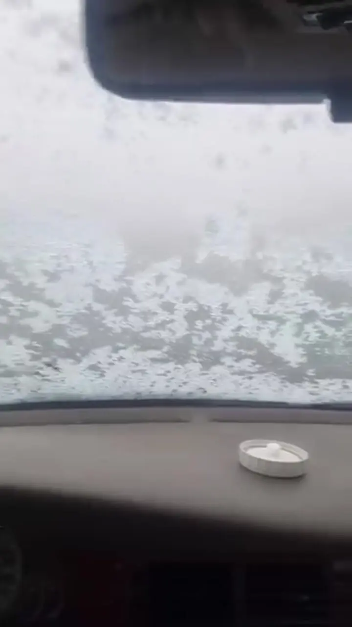 فیلم بارش برف شدید در گردنه بیدسرخ کنگاور