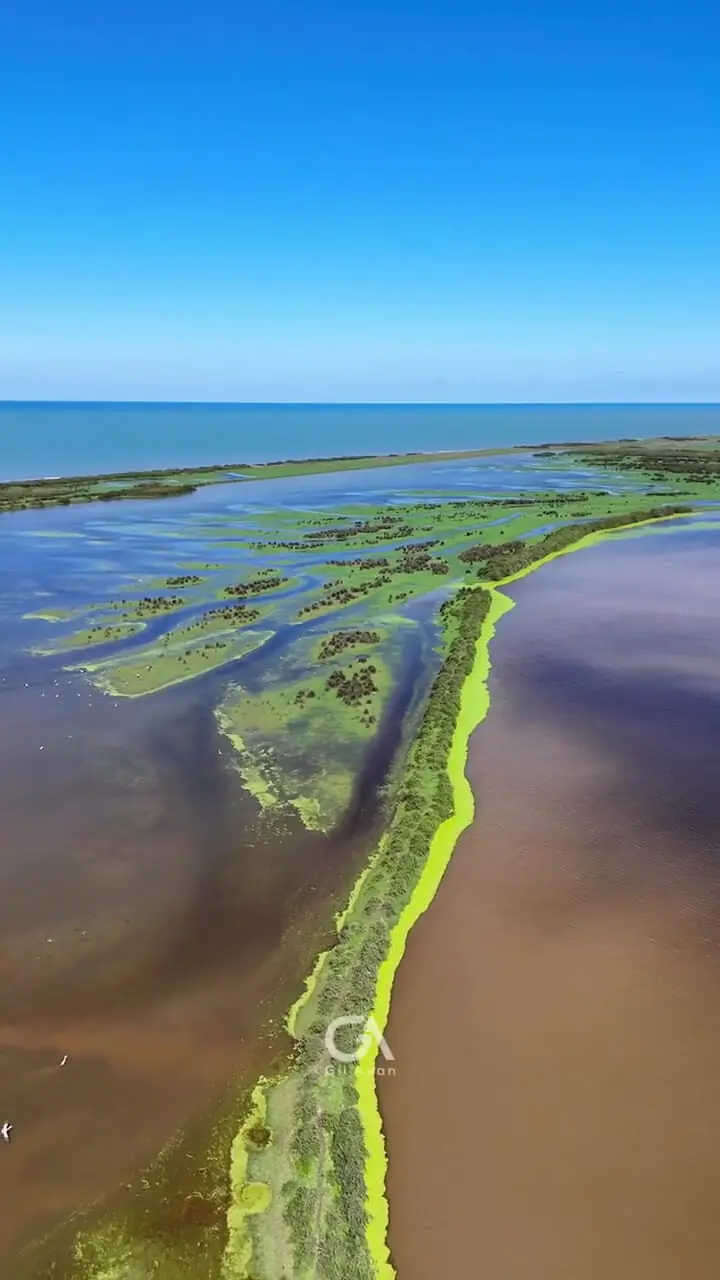 پارک ملی بوجاق، کیاشهر گیلان + فیلم