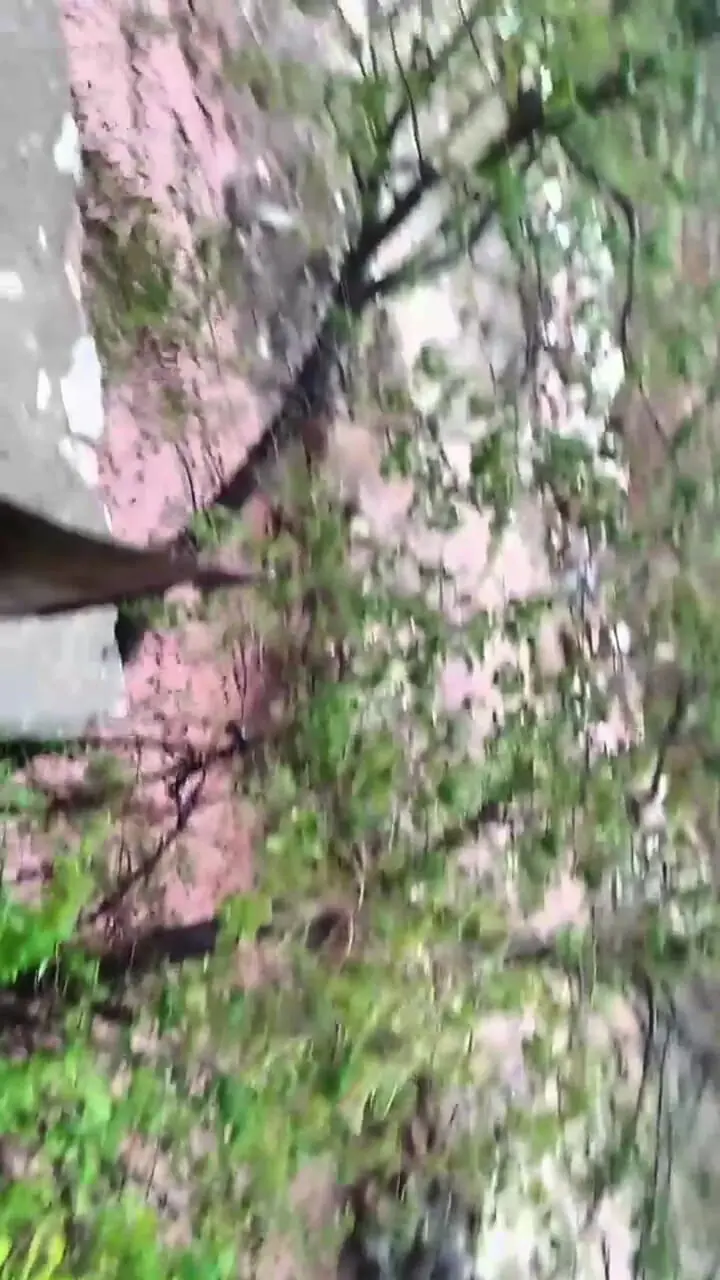 فیلم سیل و بارش شدید در کوهدشت لرستان