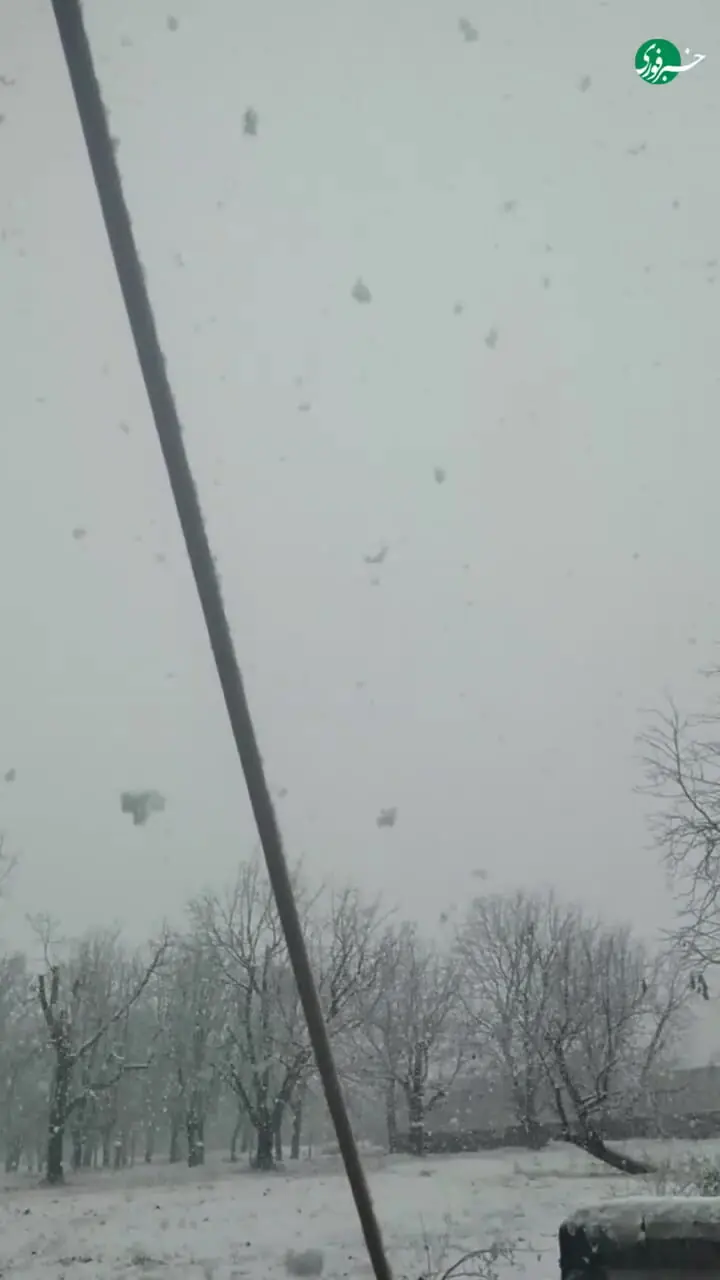 بارش برف سنگین در تویسرکان همدان + فیلم 