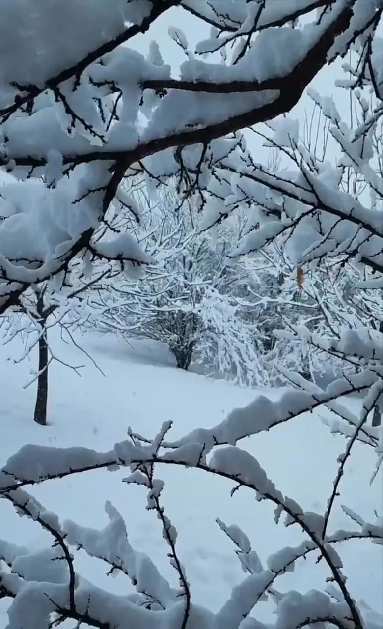 فیلم شدت گرفتن بارش برف در کوهرنگ
