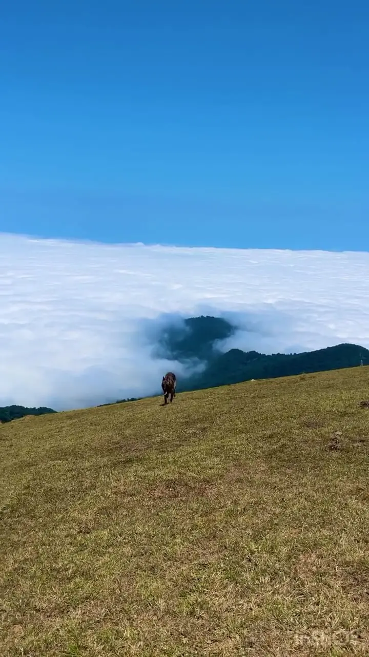 فیلم مناظر دیدنی بالاتر از ابرها در شهسواره