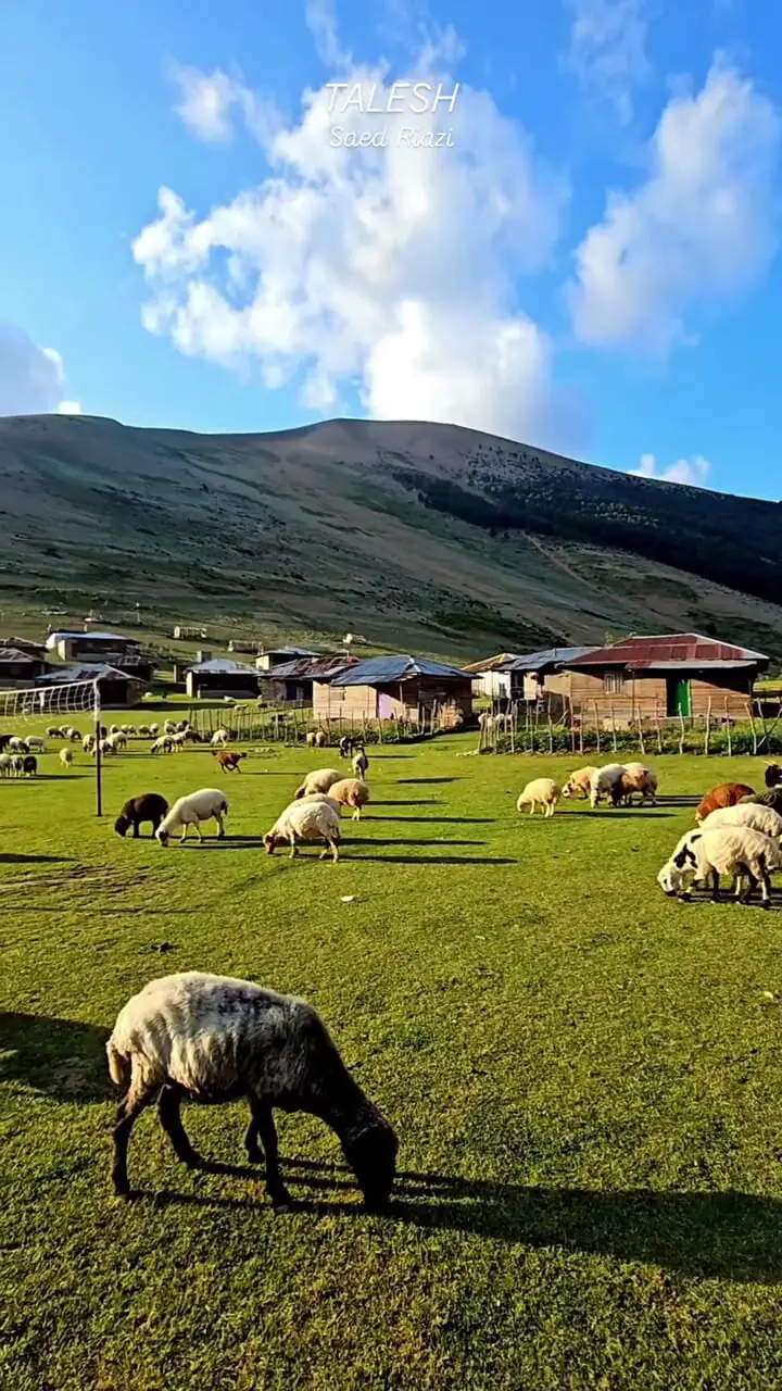 فیلم غروب دیدنی ارتفاعات تالش