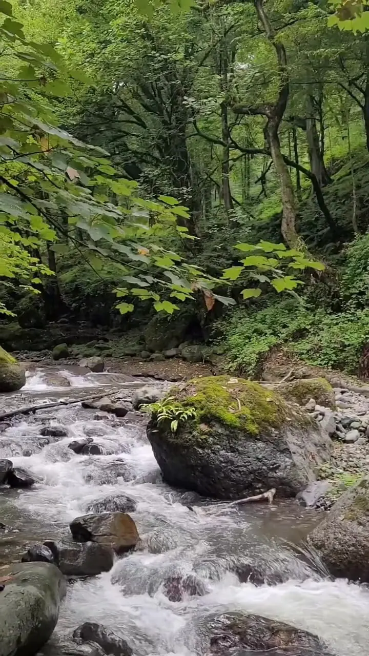 فیلم رودخانه پرآب سیاهکلرود