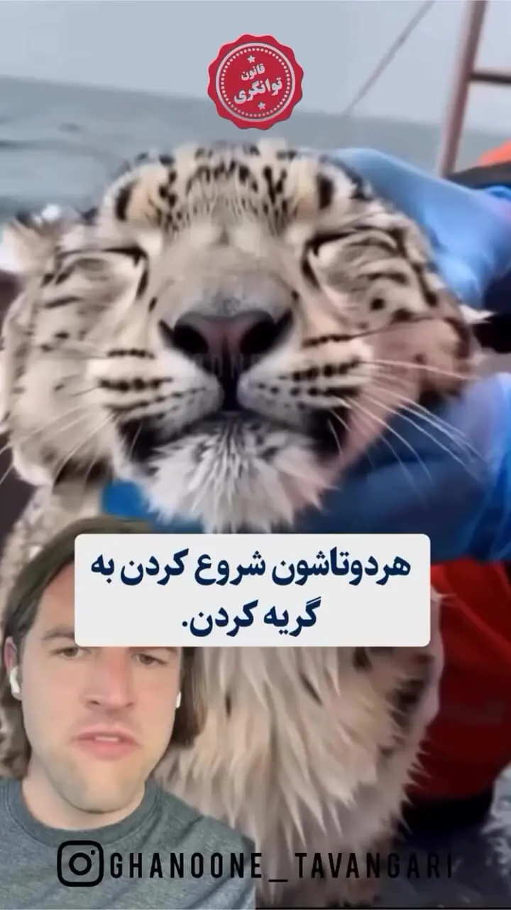 فیلم نجات پلنگ توسط دلفین