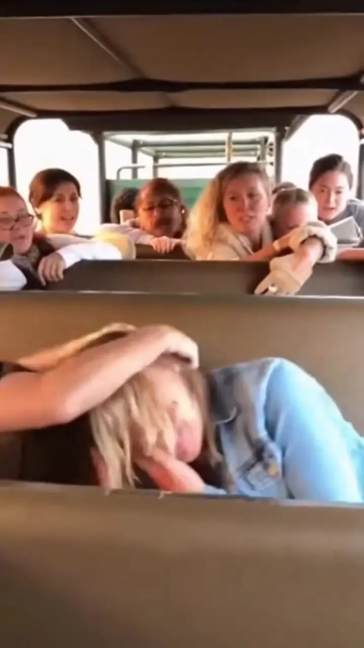 فیلم حمله شیر به گردشگر در سافاری ساخته شده با هوش مصنوعی