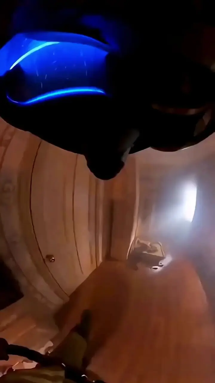 فیلم درخواست کمک سگ برای نجات توله‌ها از آتش