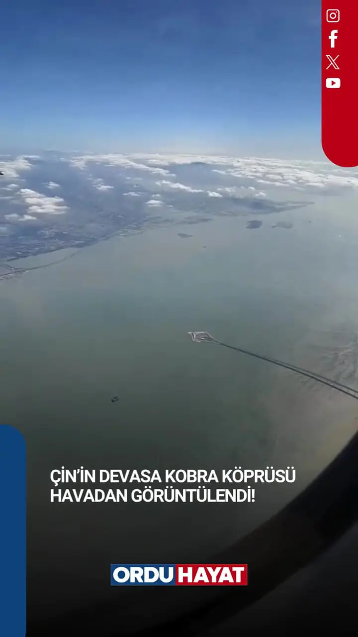 فیلم شاهکار مهندسی چین با نمای مار کبرا