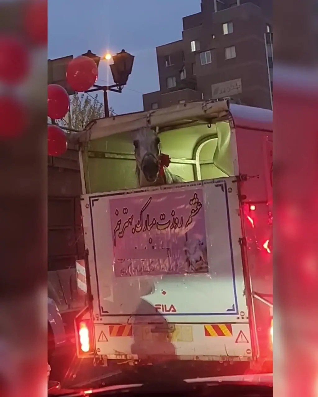 فیلم حمل اسب در خیابان های تهران