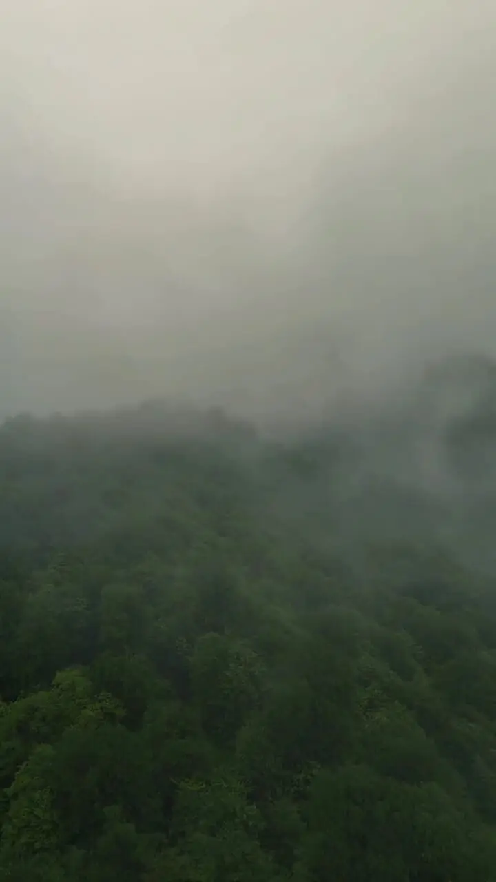 فیلم نمای هوایی خیره‌کننده از جنگل های هیرکانی