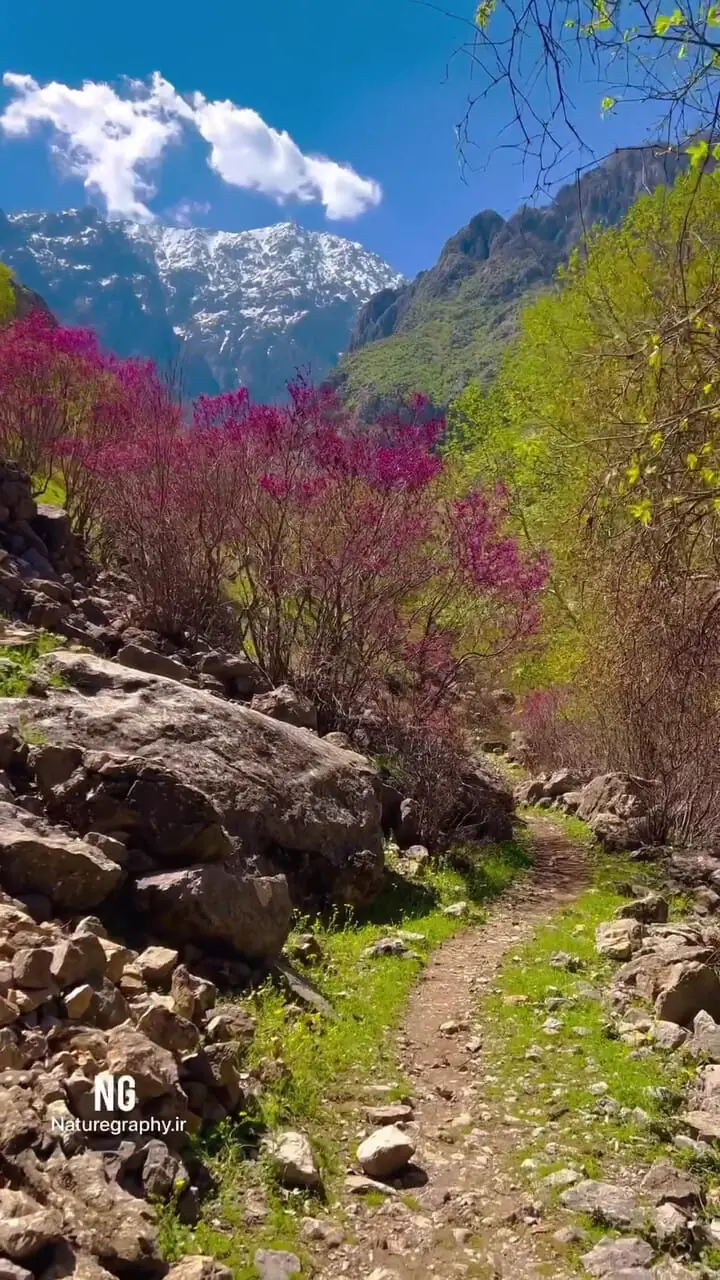 شاهو بام سبز کردستان و سرزمین آرامش + فیلم 