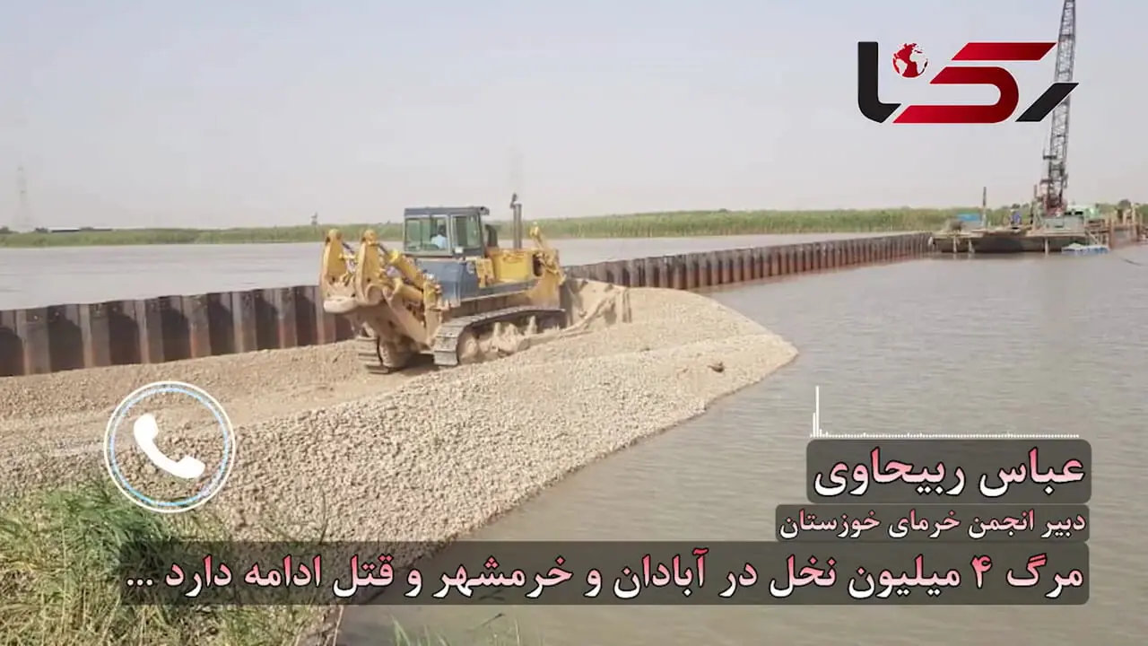 آبادان و خرمشهر به گورستان نخل ها تبدیل شد/ مرگ 4 میلیون نخل و قتلی که ادامه دارد/ سدها ناکارآمد، بهمن‌شیر در بحران + صوت