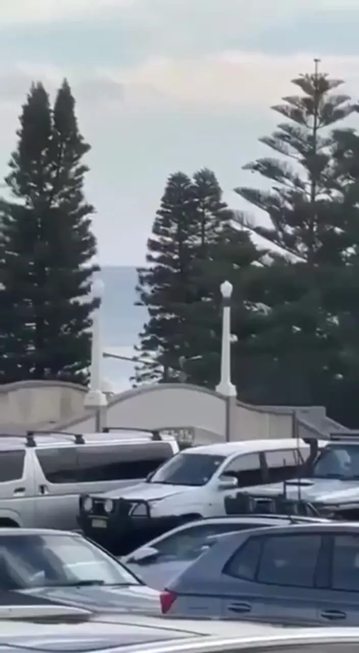 فیلم لحظه تیراندازی وحشتناک و خونین جشن حنوکا / دست کم 10 نفر کشته شدند