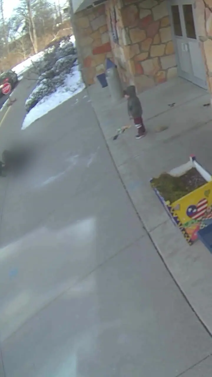 فیلم حمله سگ به مادر مقابل مدرسه ابتدایی در میشیگان