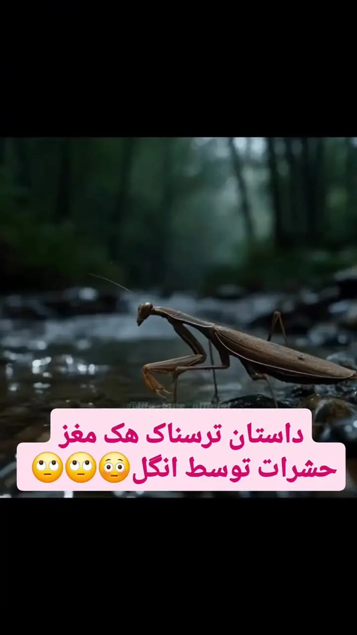 فیلم کنترل ذهن آخوندک توسط انگل کرم مویین