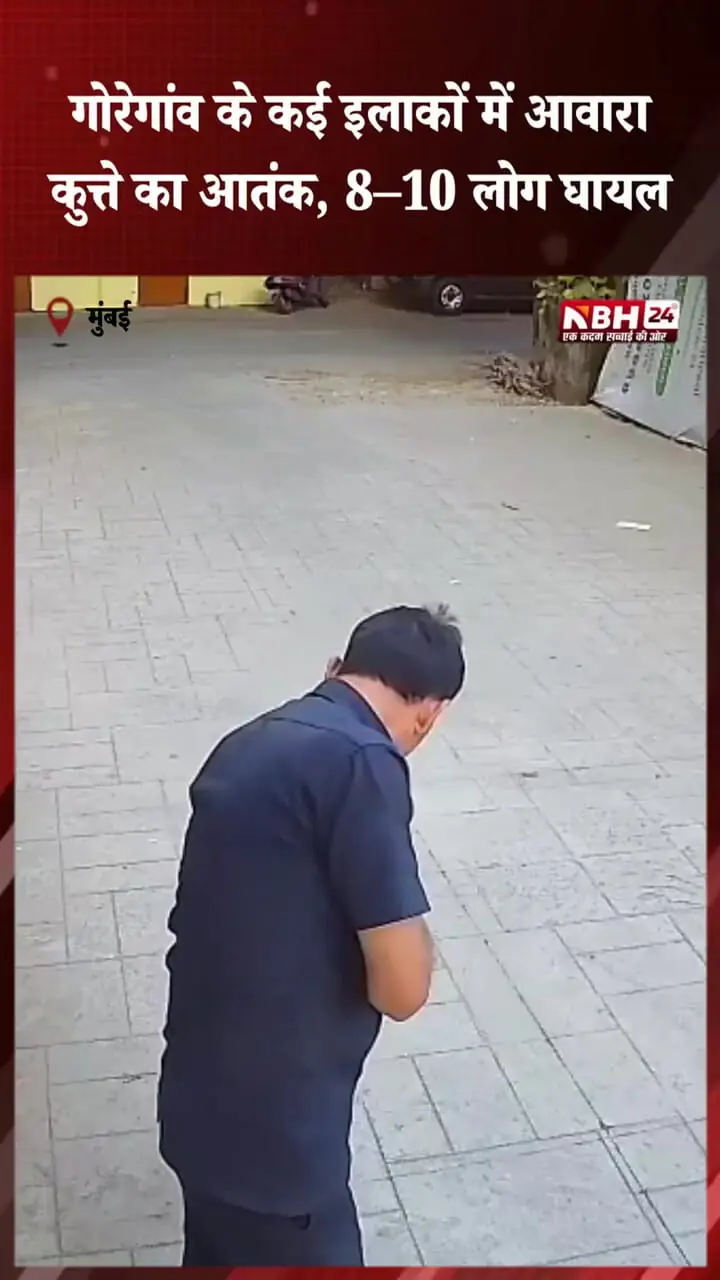 فیلم حمله وحشیانه سگ به شهروند هندی