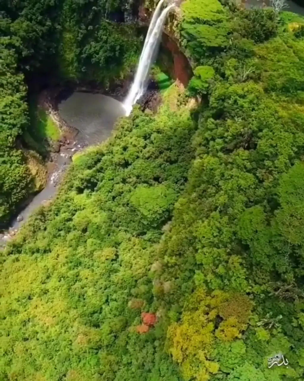 موریس بهشت روی زمین + فیلم