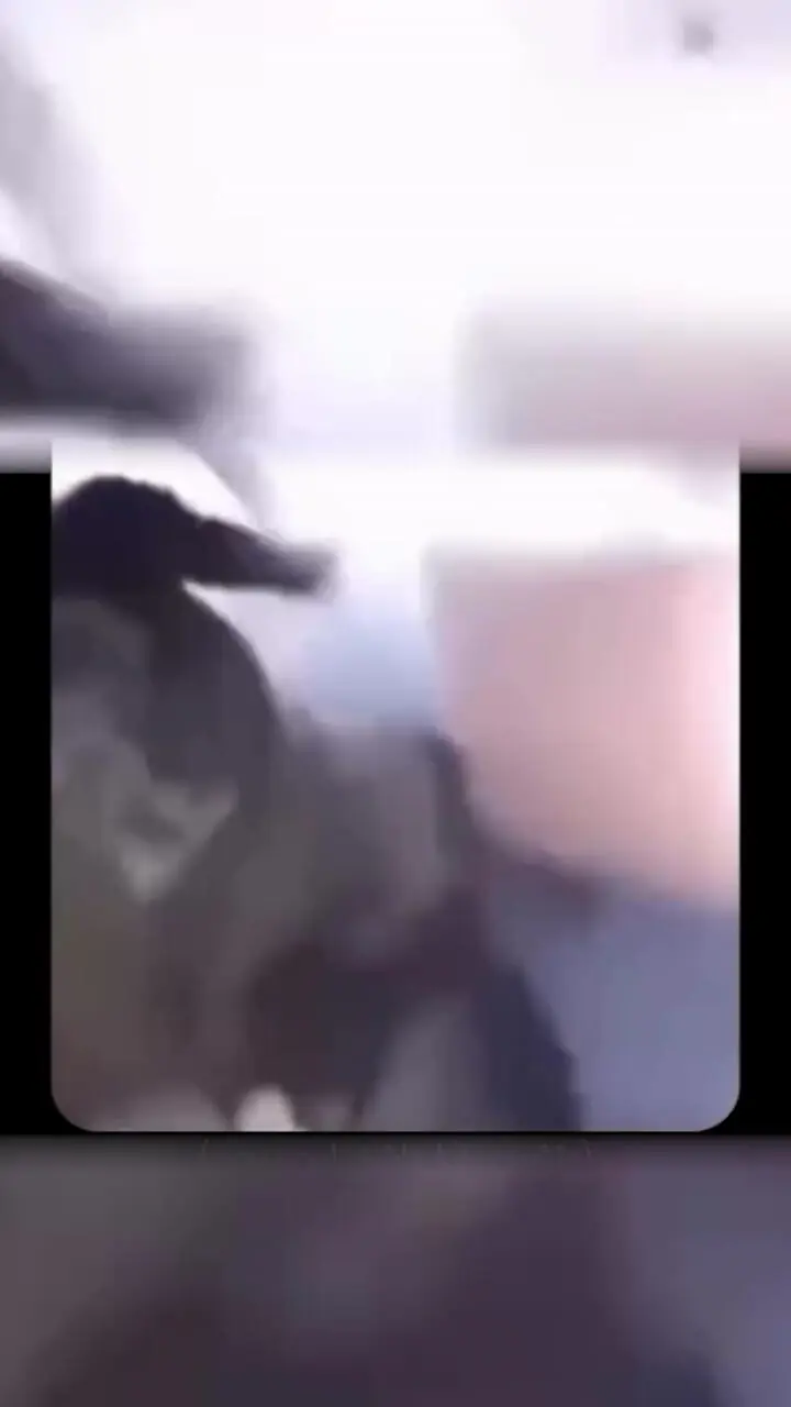 تصادف خنده‌دار اما پرحاشیه؛ اقدام عجیب راننده خودروی تقویت‌شده سوژه شد + فیلم