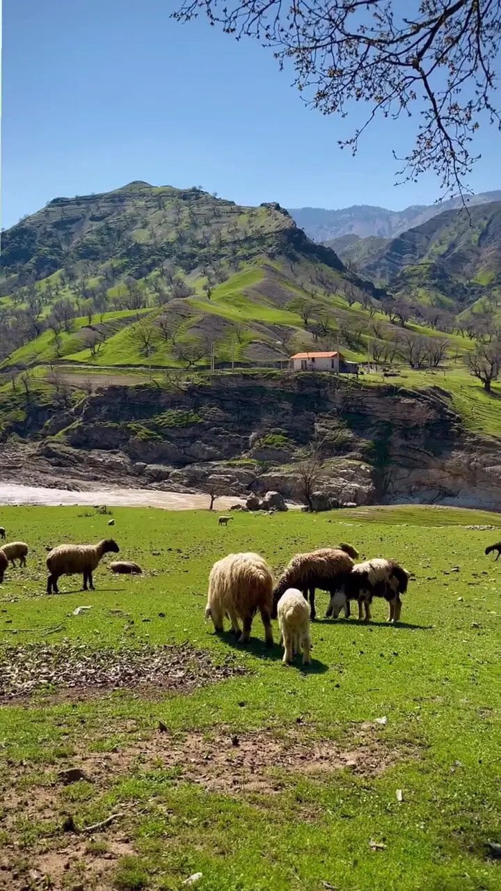 فیلم هوایی طبیعت منطقه ماهرو لرستان