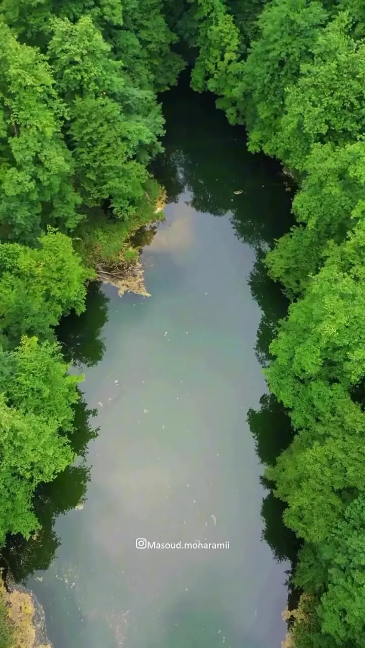 فیلم طبیعت بکر و آرامش بخش دریاچه پنهان فراخین