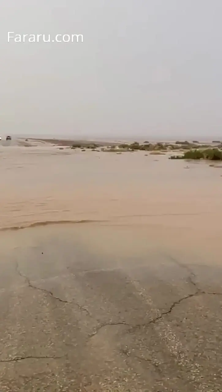 فیلم جریان خروشان رودخانه در پی بارش باران در شمال ریاض