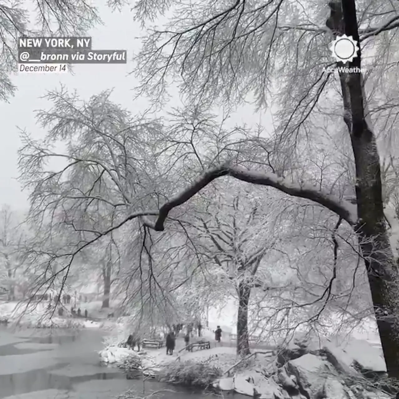 فیلم منظره زمستانی پارک مرکزی نیویورک