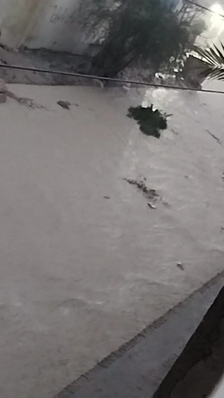 فیلم جاری شدن سیلاب در خیابان های قشم