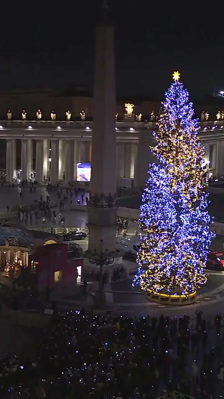 فیلم روشن شدن درخت کریسمس واتیکان