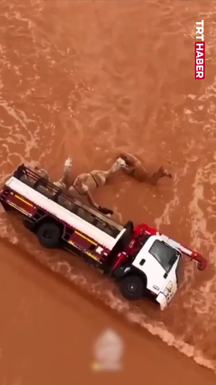 فیلم واژگونی کامیون حامل شتر در سیل عربستان