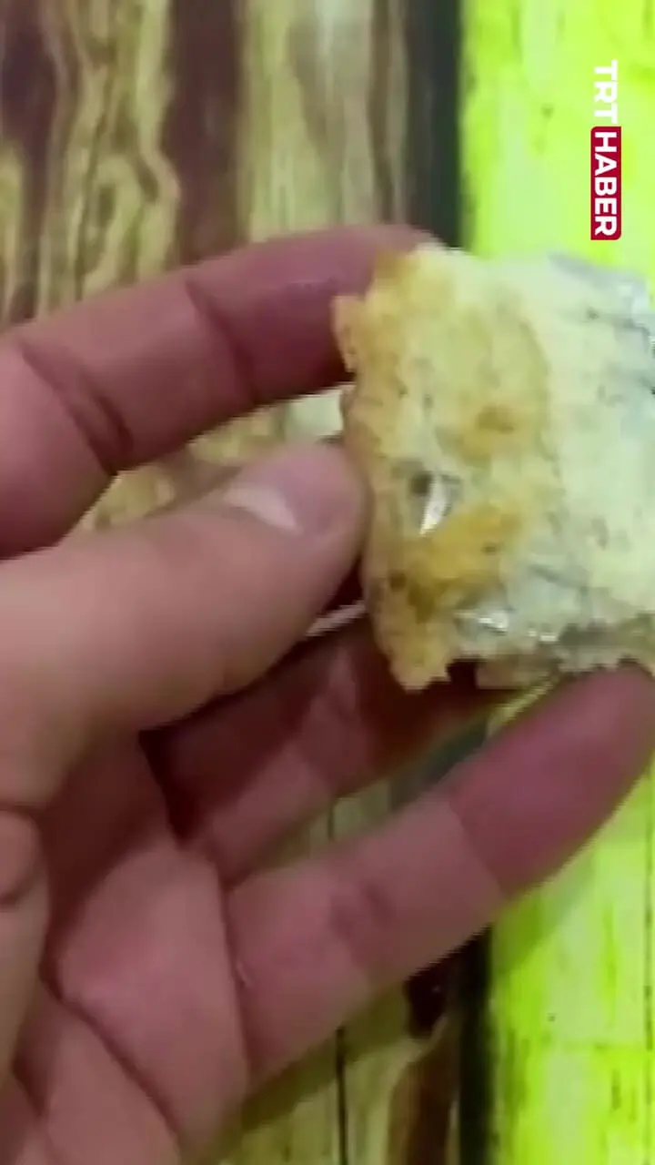 فیلم کشف شوکه کننده تیغ ریش تراشی در نان