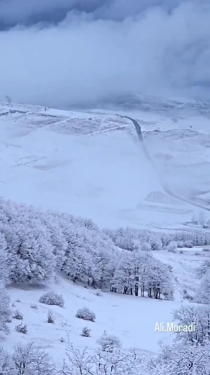 ارسباران در آغوش زمستان + فیلم