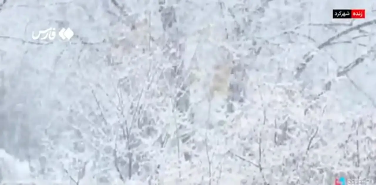 فیلم مناظر زمستانی و برفی شهرکرد