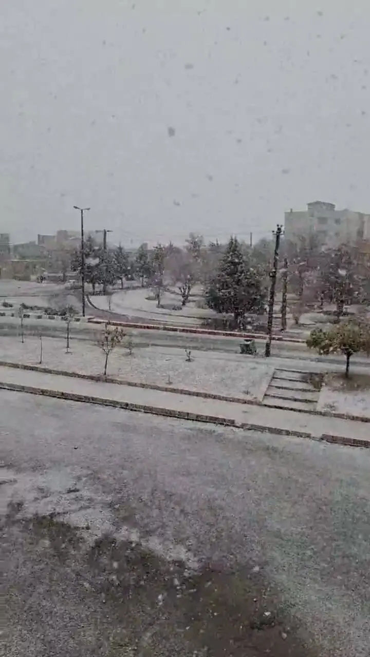 فیلم بارش برف در الیگودرز لرستان