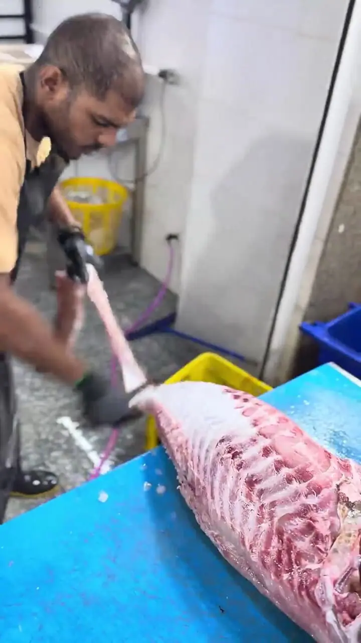 ماهی هامور چگونه برای سفارش آماده می‌شود؟ / آموزش حرفه‌ای پاک‌سازی + فیلم