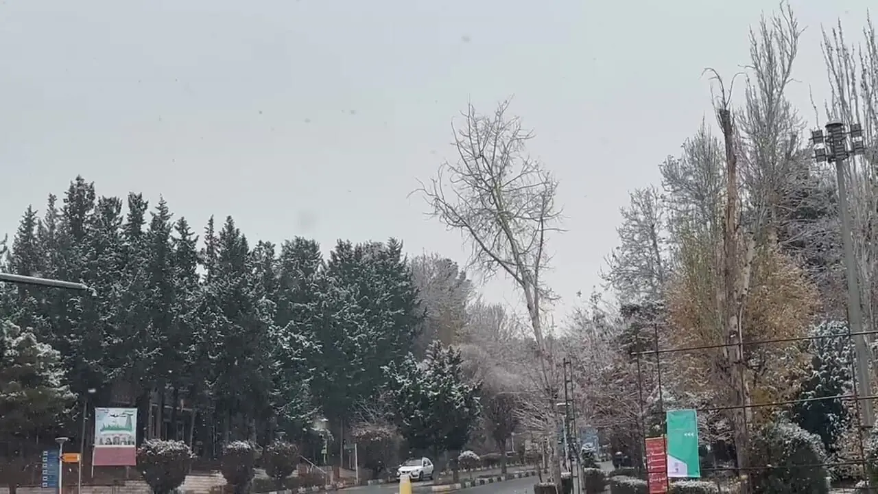 فیلم / نمایی زیبا از بارش برف پائیزی در دانشگاه شهید بهشتی تهران