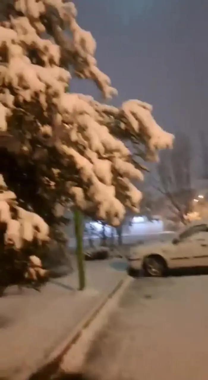 فیلم جذاب بارش برف در فولادشهر اصفهان
