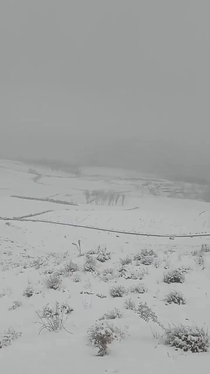 فیلم / بارش برف در روستای وراینه نهاوند
