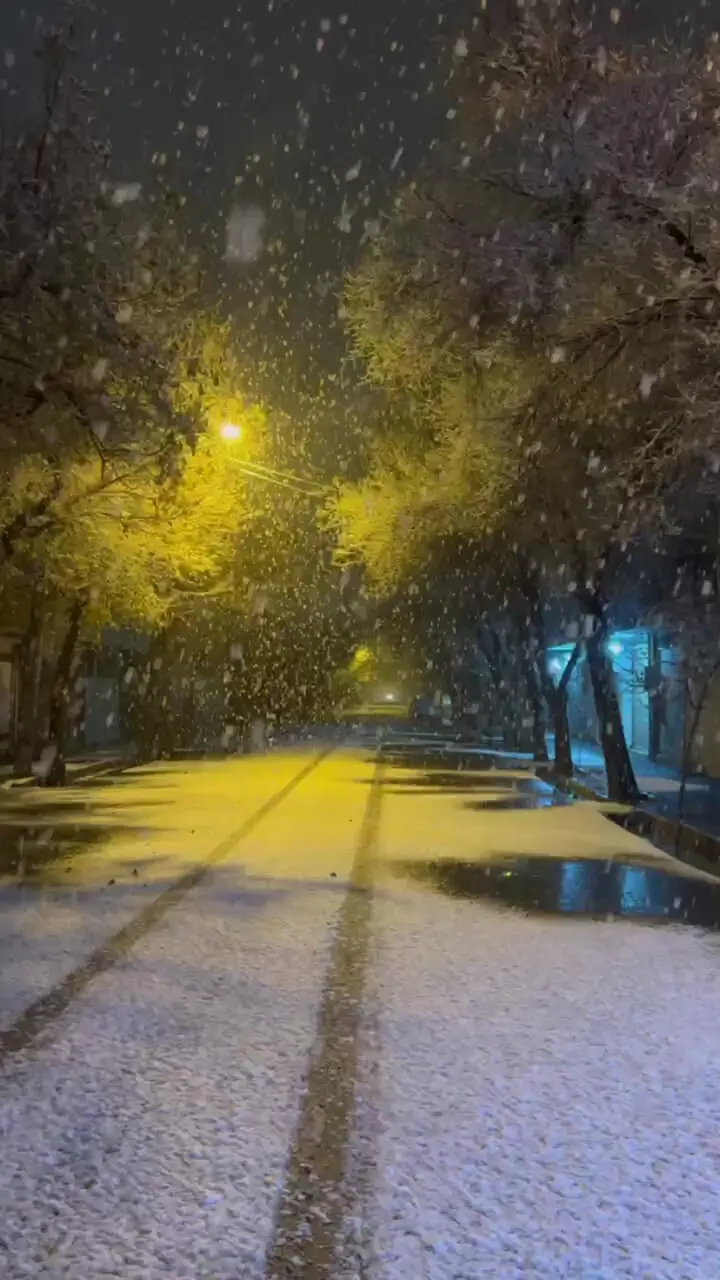 فیلم رویایی از بارش شدید برف بامداد امروز در نجف‌آباد اصفهان  