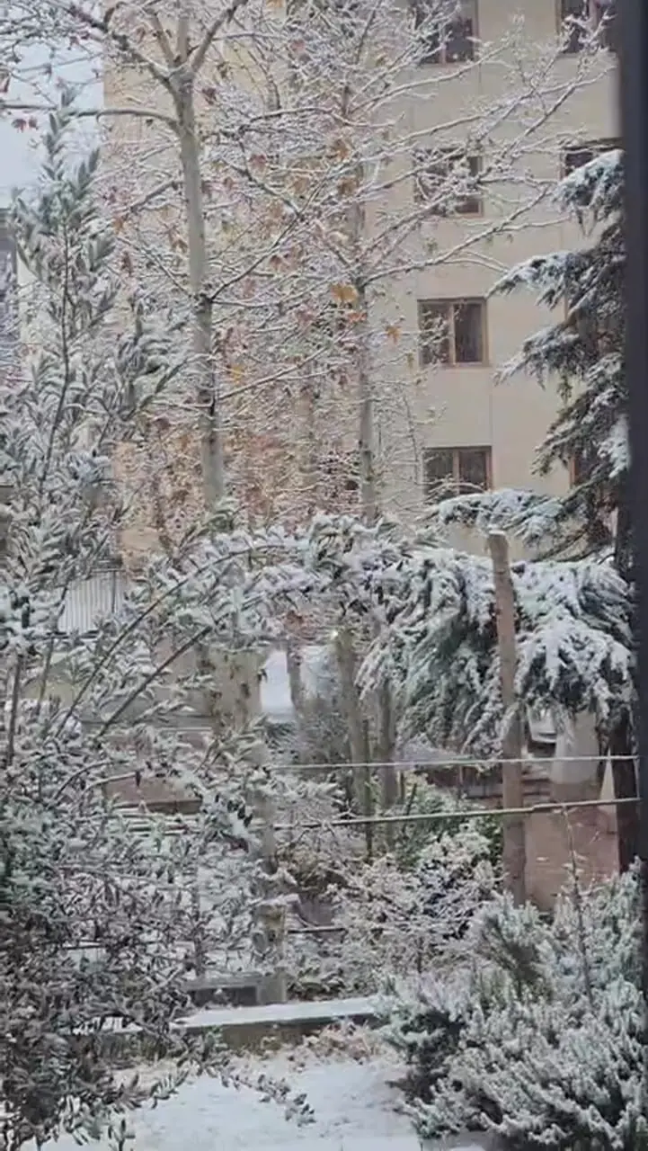فیلم بارش برف در ولنجک تهران