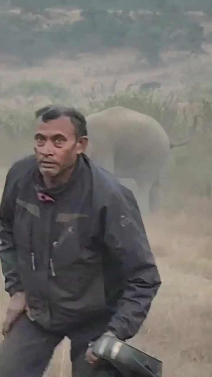 فیلم صحنه‌های تکان دهنده حمله فیل به مرد در هند