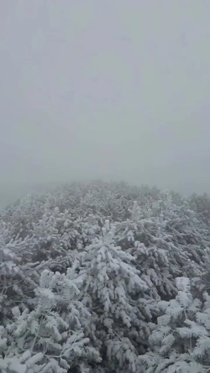 فیلم زیبایی طبیعت برفی فندوقلو