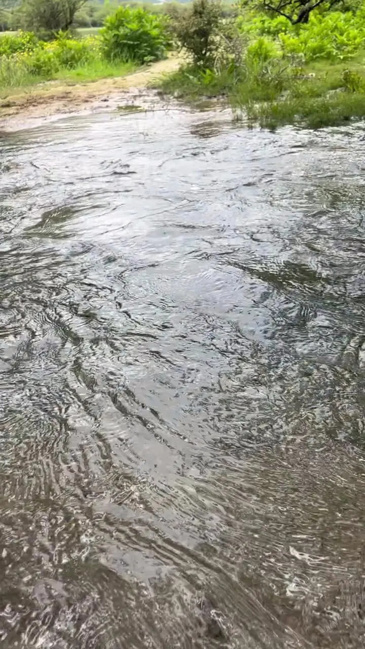 فیلم منظره سرسبز دشت دریاسر در شمال ایران