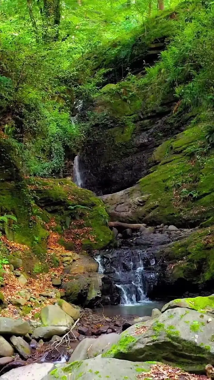 فیلم آبشار زیبای جنگل های هیرکانی سوادکوه