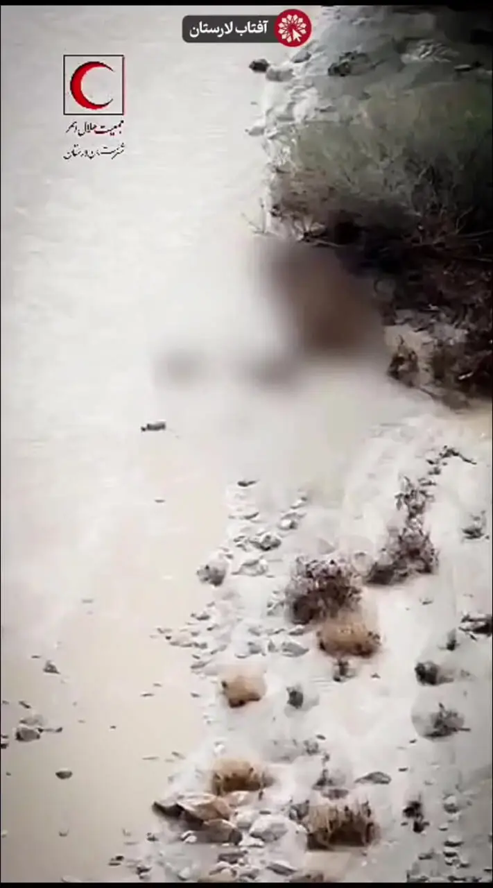 مرگ دلخراش در رودخانه لار / خودرو غرق شد، ۲ نفر جان باختند + فیلم غم‌انگیز عملیات نجات